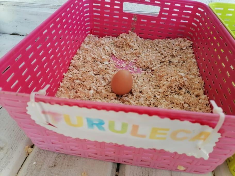 Willa Chiclana El Principito Chiclana de la Frontera Zewnętrze zdjęcie